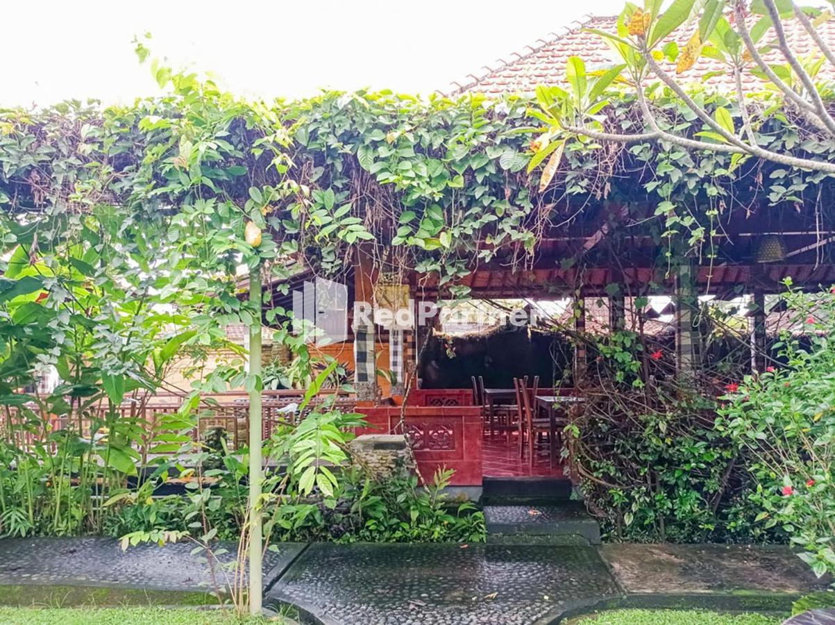 Апартаменти Nando House Убуд Екстер'єр фото