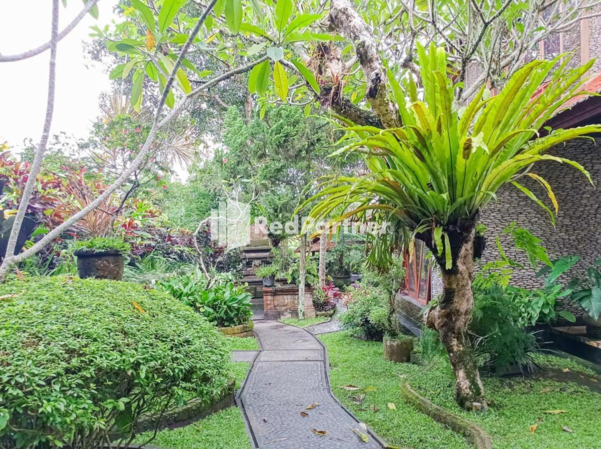 Апартаменти Nando House Убуд Екстер'єр фото